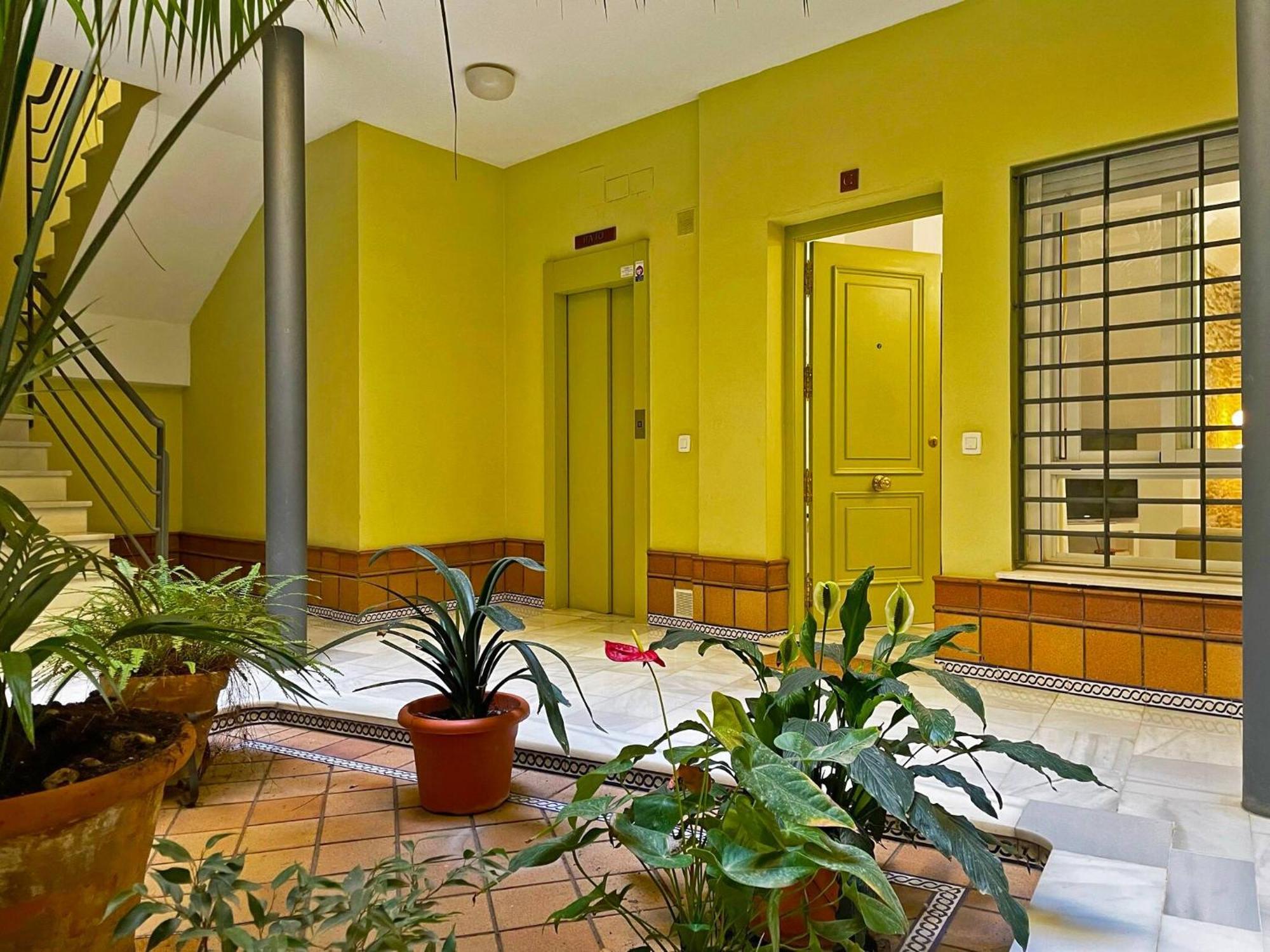 Armas - Ole Solutions Apartment